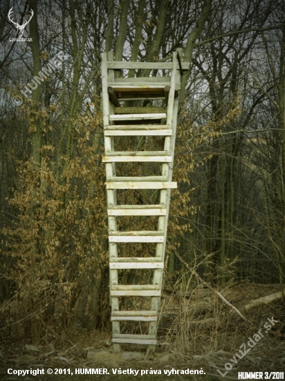 Posed_36