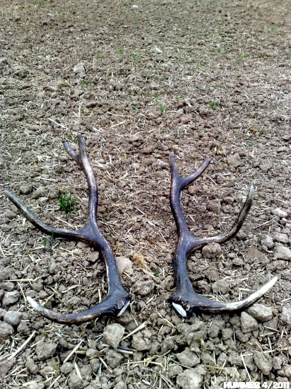 Môj prvý pár v živote.!!!