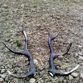 Môj prvý pár v živote.!!!