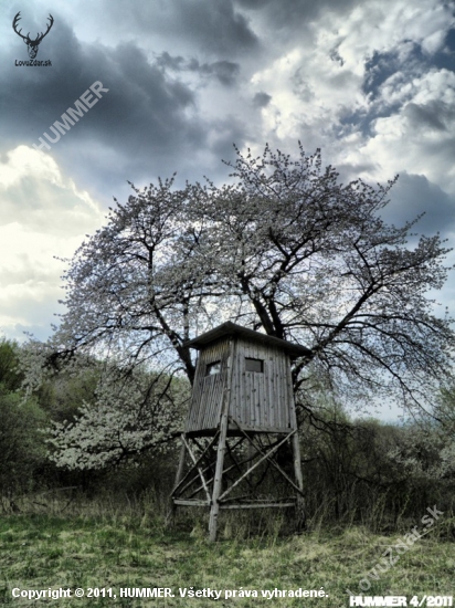 Posed_41