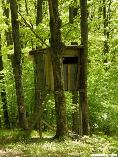 Posed_43 a krásna zelená