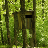 Posed_43 a krásna zelená