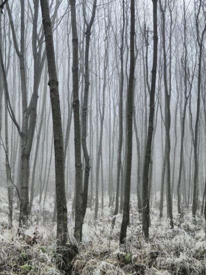 V zajatí hustej hmly