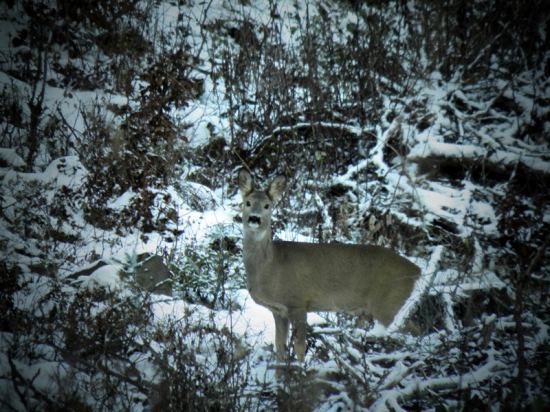 Prišla ma skontrolavať