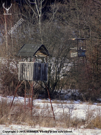 Kamoši