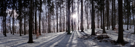 Slnečná panoráma