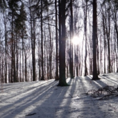 Slnečná panoráma
