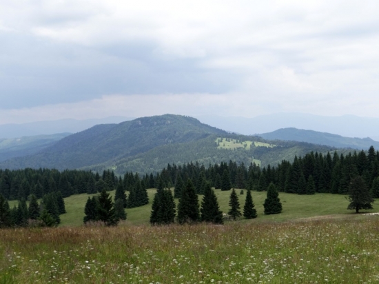 Ľubietovská Bukovina