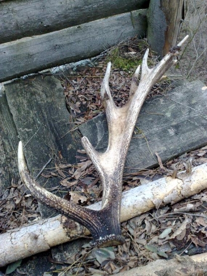 Usmialo sa na mňa šťastie...môj prvý