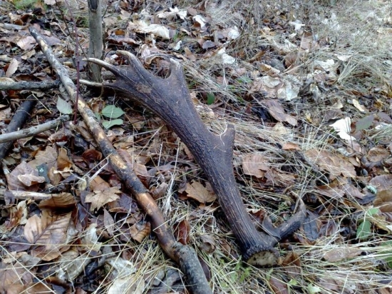 Usmialo sa na mňa šťastie...môj prvý