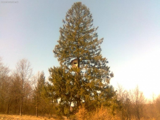 Najväčší posed aký som kedy videl