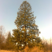 Najväčší posed aký som kedy videl