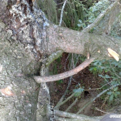 Čo sa dá najsť v prírode