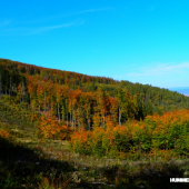 Najkajšie farby v roku