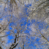 Rozprávkový pohľad