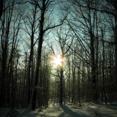 Zlatistvý západ slnka