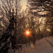 Posledné slnečné lúče