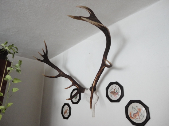 Zhody na umelej lebke 2