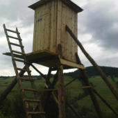 Pred dokončením...