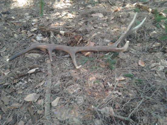 Po rozpustení snehu