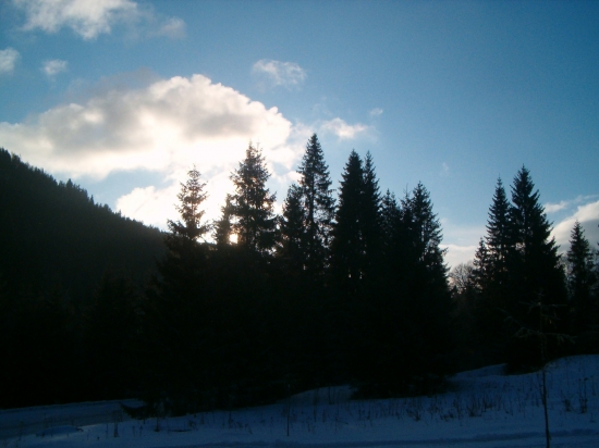 Brieždenie