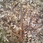 po 9 dnoch su spolu.dnes najdený