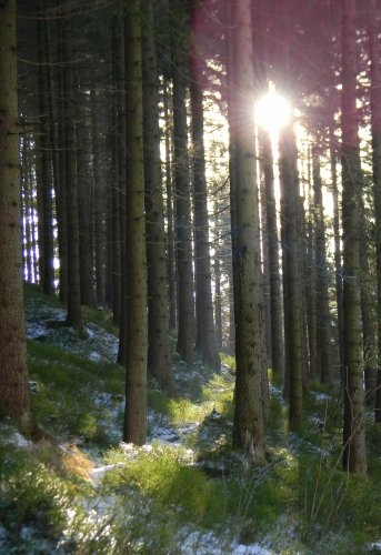 Krkonoše