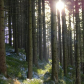 Krkonoše
