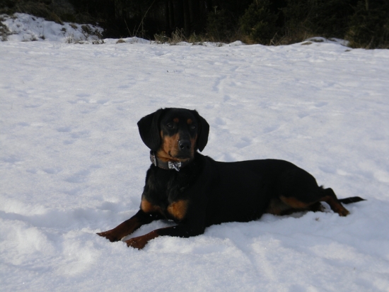 Gracy od Pavlečkovy skály