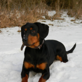 Gracy