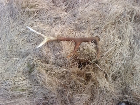 Aj ked starý ale poteší