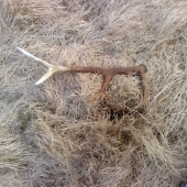 Aj ked starý ale poteší