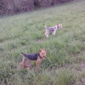 hliadka :-)