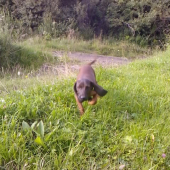 Nový prirastok :-)