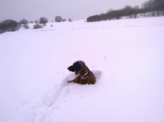 Dnešná prechádzka