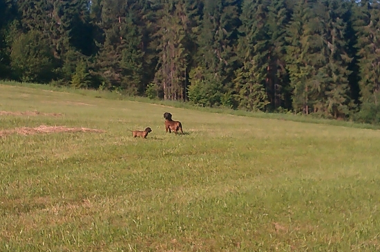 Aka matka taka katka