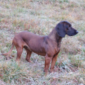 Modelka :)