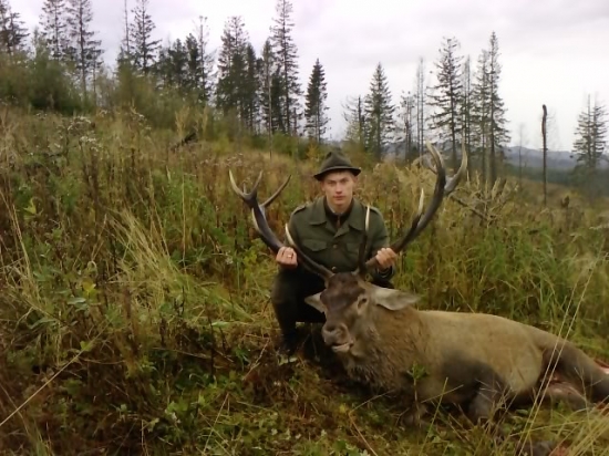 Moj prvy privabeny jelienok