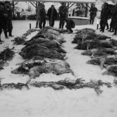 Moja prvá spoločná