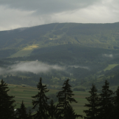 Kubinská hoľa