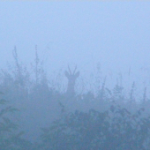 Takto ma tajne špehoval...