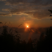 Vychodí slniečko spoza hmly