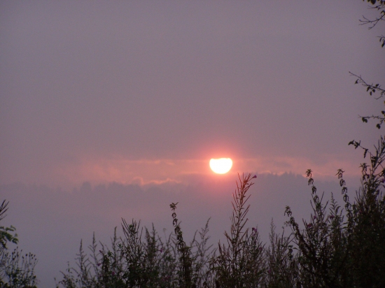 Východ počas ruje...