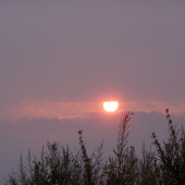 Východ počas ruje...