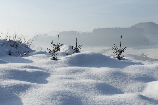 Dnešná prechadzka...