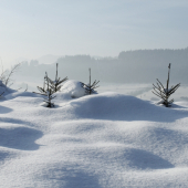Dnešná prechadzka...