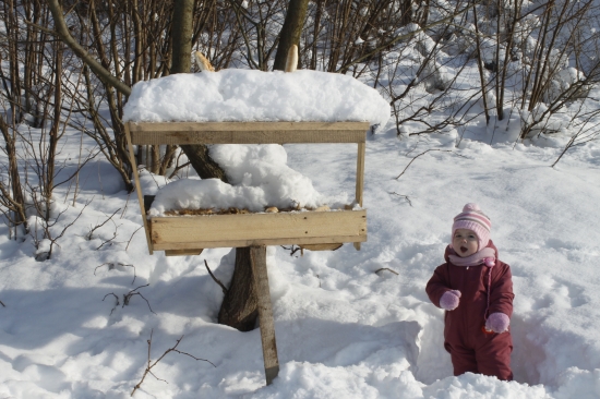 Včerajšie prikrnovanie...