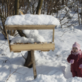 Včerajšie prikrnovanie...