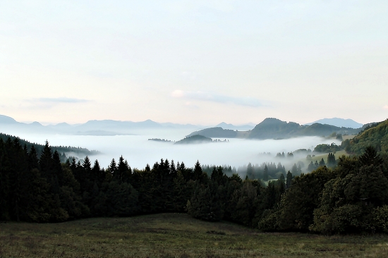 Čaro jesenných rán....