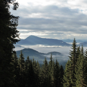 Velikán v pozadí....